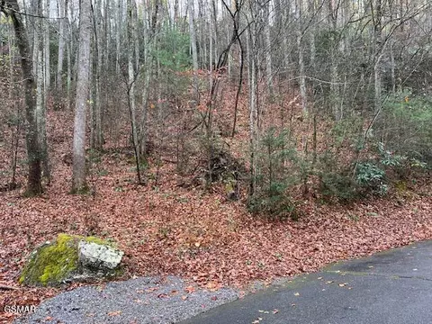 lot1 Big Buck Trl, Townsend, TN 37882