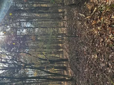 lot1031 Meadow Ct, Baneberry, TN 37890