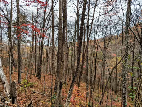 2313 Grey Fox Run Dr, Sevierville, TN 37862