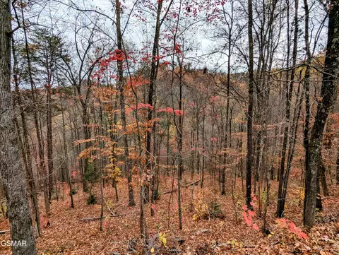 2317 Grey Fox Run, Sevierville, TN 37862