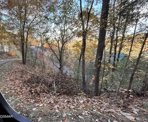 lot155 R Black Bear Cub Way, Sevierville, TN 37876