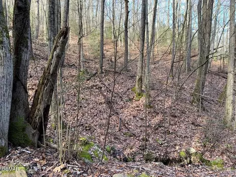 lot14 Black Walnut Flats Rd, Sevierville, TN 37862
