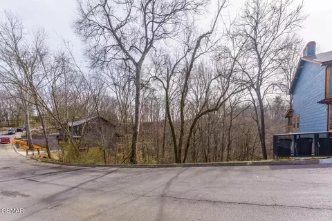 0 Maggie Mack Ln, Sevierville, TN 37862