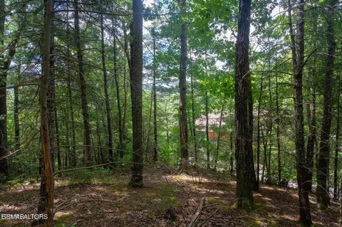 lot0013 High Top Loop, Sevierville, TN 37862
