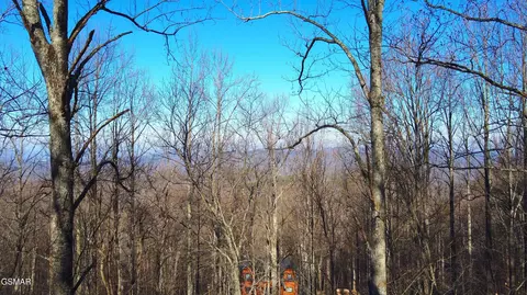 1872 Orchard Dr, Sevierville, TN 37876