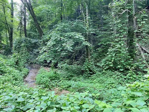 lot1 Black Walnut Flats Rd, Sevierville, TN 37862