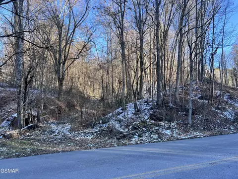 - Maples Branch Road, Sevierville, TN 37876