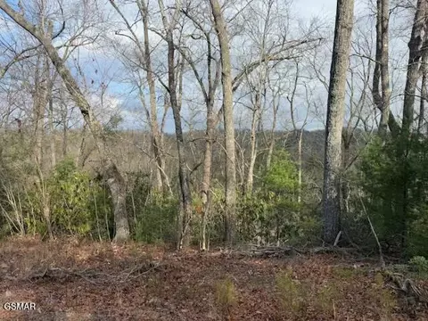 lot973 Ridgefield Dr, Sevierville, TN 37876