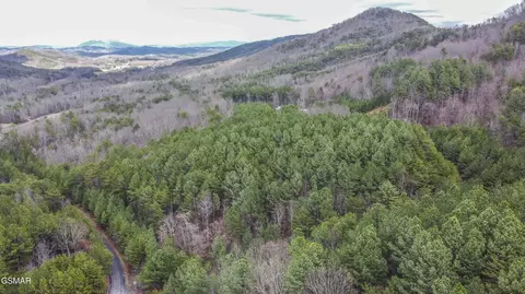 545 Harlan Mountain Rd, Tellico Plains, TN 37385