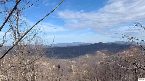 lot295 S Piney Butt Loop, Gatlinburg, TN 37738