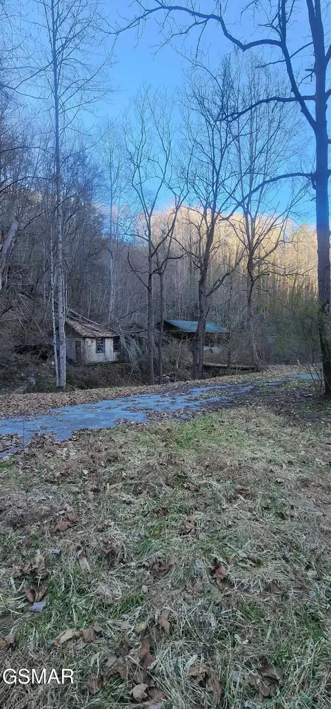 4246 Birds Creek Road Rd, Sevierville, TN 37876