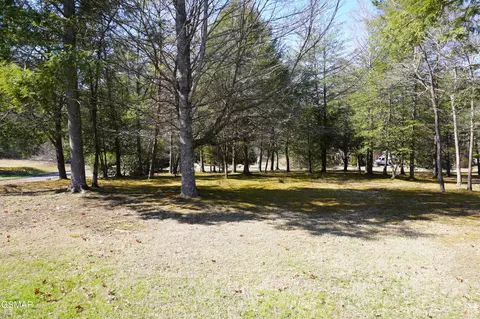 lot19 Rhododendron Trl, Cosby, TN 37722