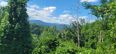 lot8 Kristis Pl, Gatlinburg, TN 37738