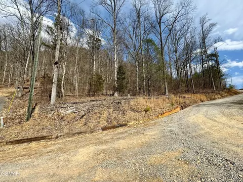 lot15 Mtn Walk Rd, Cosby, TN 37722