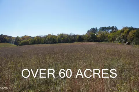 152 Sulphur Springs Road, Newport, TN 37821