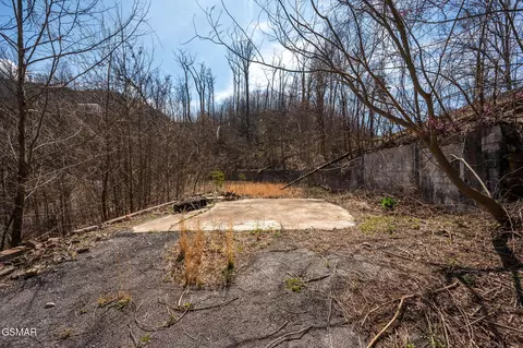 460 Forrest Springs Dr, Gatlinburg, TN 37738