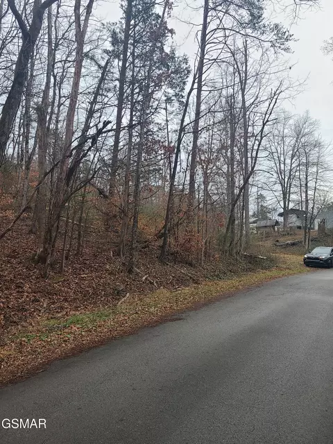 tbd Keystown Rd, Luttrell, TN 37779 photo 3