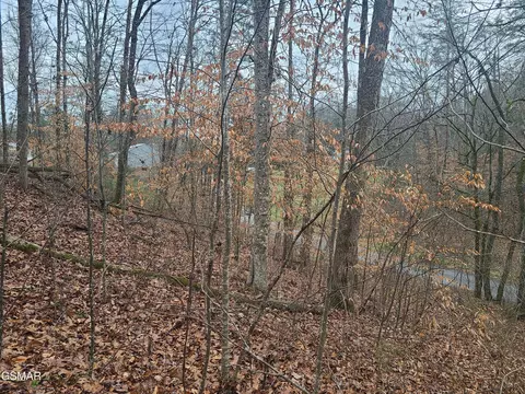 tbd Keystown Rd, Luttrell, TN 37779 photo 5