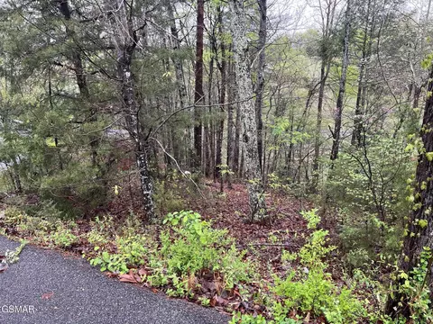 lot1 Mountain View Ln, Pigeon Forge, TN 37863