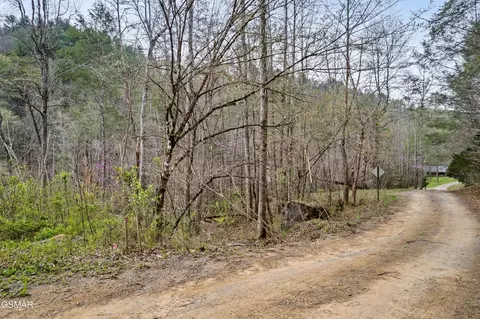 lot121 Creek Hollow Way, Sevierville, TN 37876