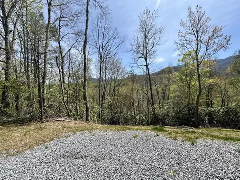 lot1 Cote Way, Cosby, TN 37722