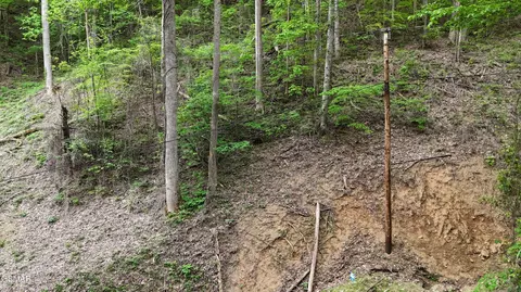 lot33 Black Walnut Flats Rd, Sevierville, TN 37876