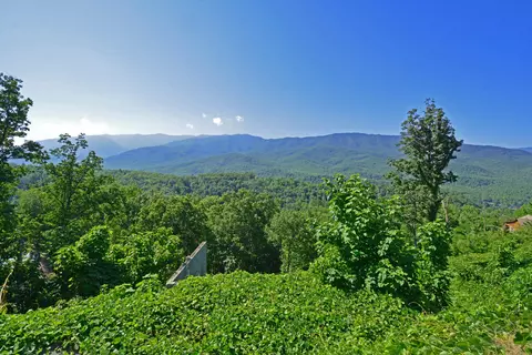 719 Picadilly Ln, Gatlinburg, TN 37738