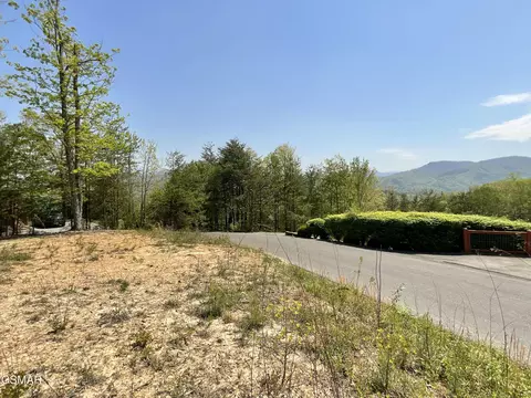 lot49 Cats Paw Ln, Sevierville, TN 37862