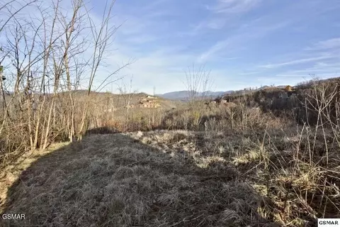 429 Red Hawk Way, Gatlinburg, TN 37738