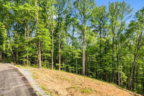 lot27 Sugar Maple Loop Rd, Sevierville, TN 37862