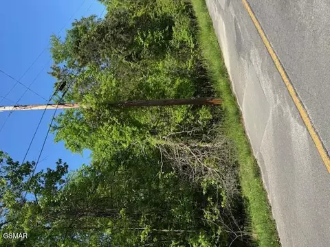 lot1240 Rustic Dr, Baneberry, TN 37890
