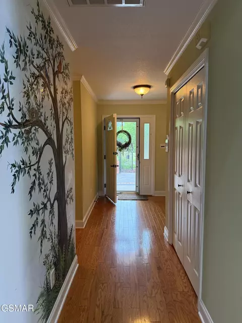 Entry Way - 915 Fine Glen Drive Dr, Sevierville, TN 37862 photo 1 of 1