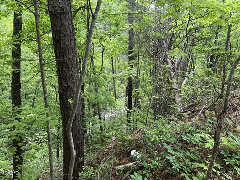 lot4 Yost Way, Sevierville, TN 37876