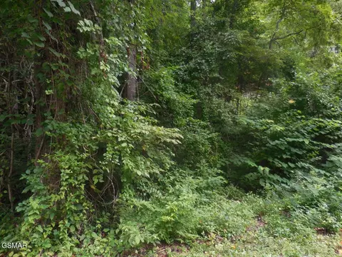 lot1 Hidden Vly, Gatlinburg, TN 37738