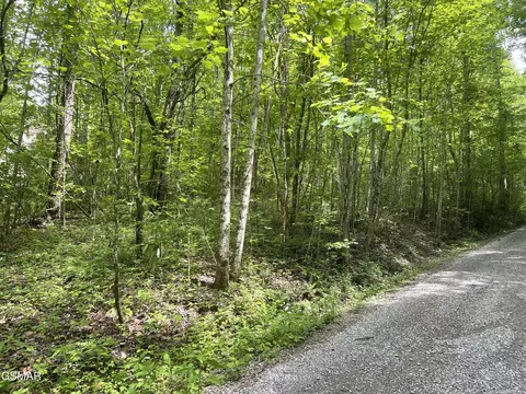 lot4 Walden Flats Way, Sevierville, TN 37862