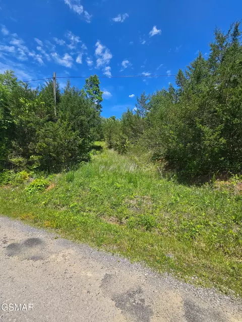 3 35 Oakwood Rd, Midway, TN 37809