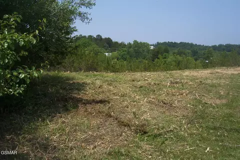 lot79 Blue Herring Way, Sevierville, TN 37876