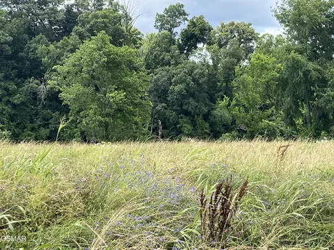 39 Lot Tributary Dr, Sevierville, TN 37876