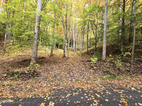 15 Sonshine Ridge Rd, Cosby, TN 37722