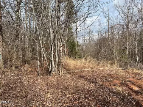 lot30 Blue Springs Way, Newport, TN 37821