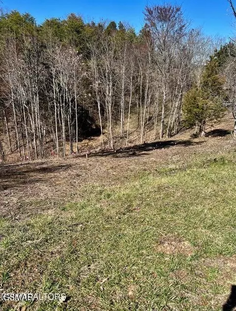 lot1 A 2009 Scott St, Sevierville, TN 37876