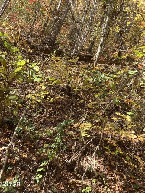 lot3 Sec Meadow View Rd, Sevierville, TN 37862