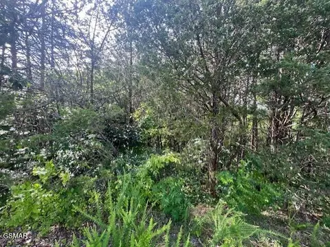 lot30 Driftwood Cir, Sevierville, TN 37876