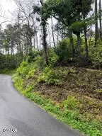 lot0000 Indigo Ln, Sevierville, TN 37862