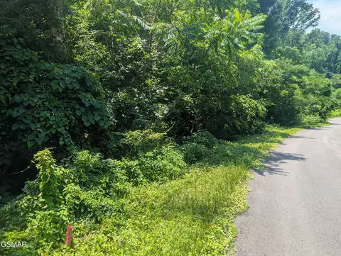 0 Beech Branch Rd, Gatlinburg, TN 37738