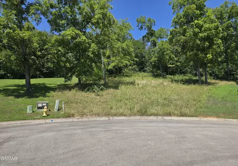 lot5 Morningside Ln, Dandridge, TN 37725
