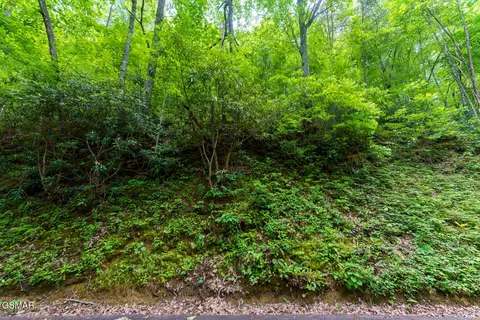 lot10 Zurich Rd, Gatlinburg, TN 37738