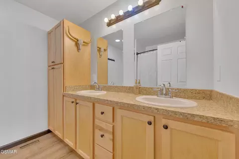 Bath - 1668 Goodwater Rd, Bybee, TN 37713 photo 2 of 3