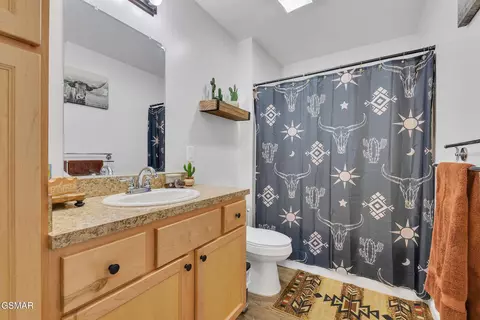 Bath - 1668 Goodwater Rd, Bybee, TN 37713 photo 3 of 3