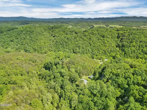 Other - 1668 Goodwater Rd, Bybee, TN 37713 photo 8 of 17